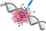 Ions that love DNA to bits